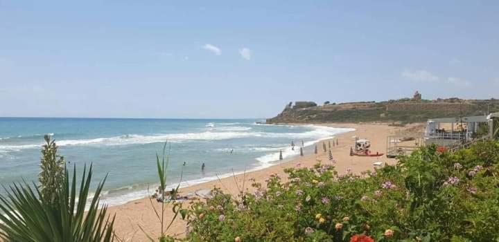 Bahari Beachfront Aparthotel Selinunte Marinella di Selinunte Exterior foto